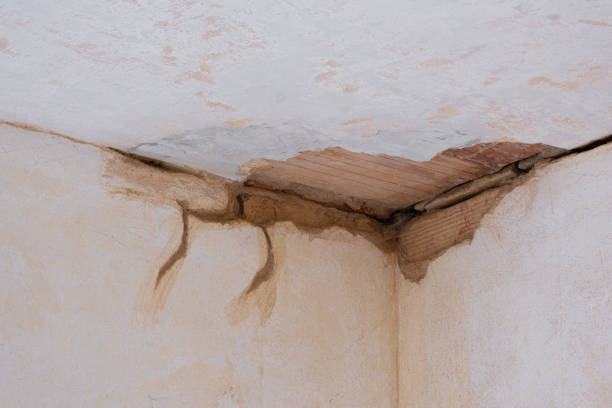 Best Emergency water damage restoration  in Stevenson, AL