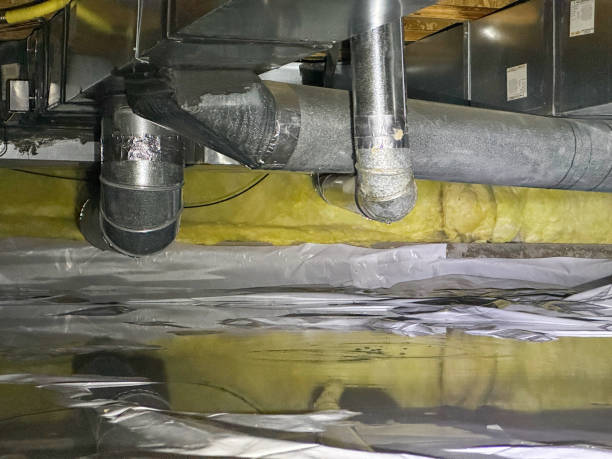 Best Flood damage cleanup  in Stevenson, AL