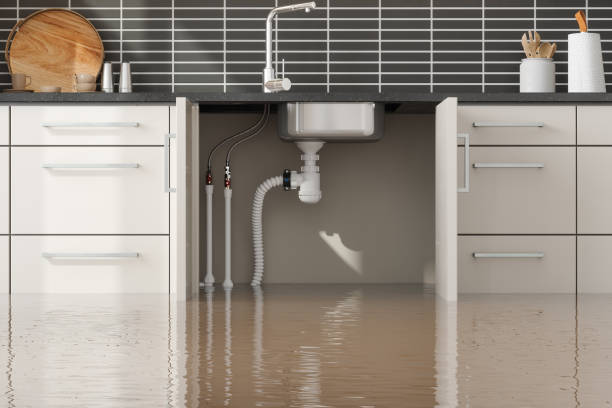 Best Mold removal after water damage  in Stevenson, AL