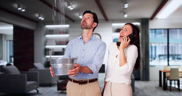 Best Flooded house restoration  in Stevenson, AL