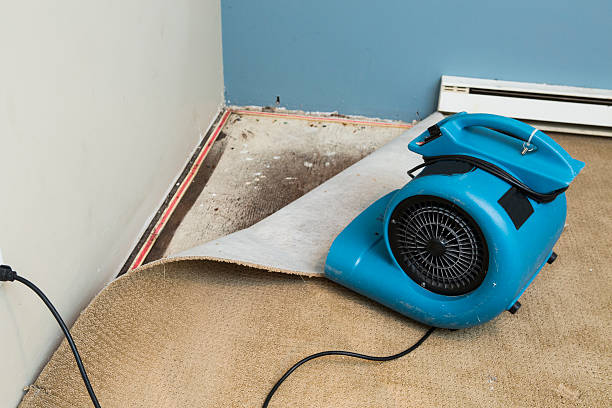  Stevenson, AL Water damage restoration Pros